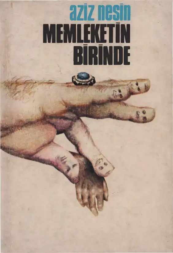 Memleketin Birinde — Aziz Nesin, Ali Nesin