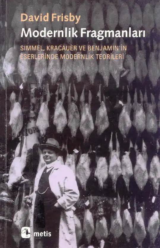 Modernlik Fragmanları — David Frisby