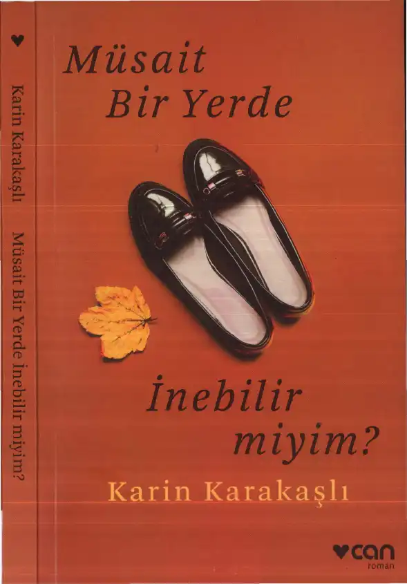 Müsait Bir Yerde İnebilir Miyim? — Karin Karakaşlı