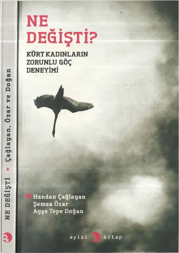 Ne Değişti? Kürt Kadınların Zorunlu Göç Deneyimi — Handan Çağlayan