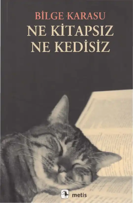 Ne Kitapsız Ne Kedisiz — Bilge Karasu