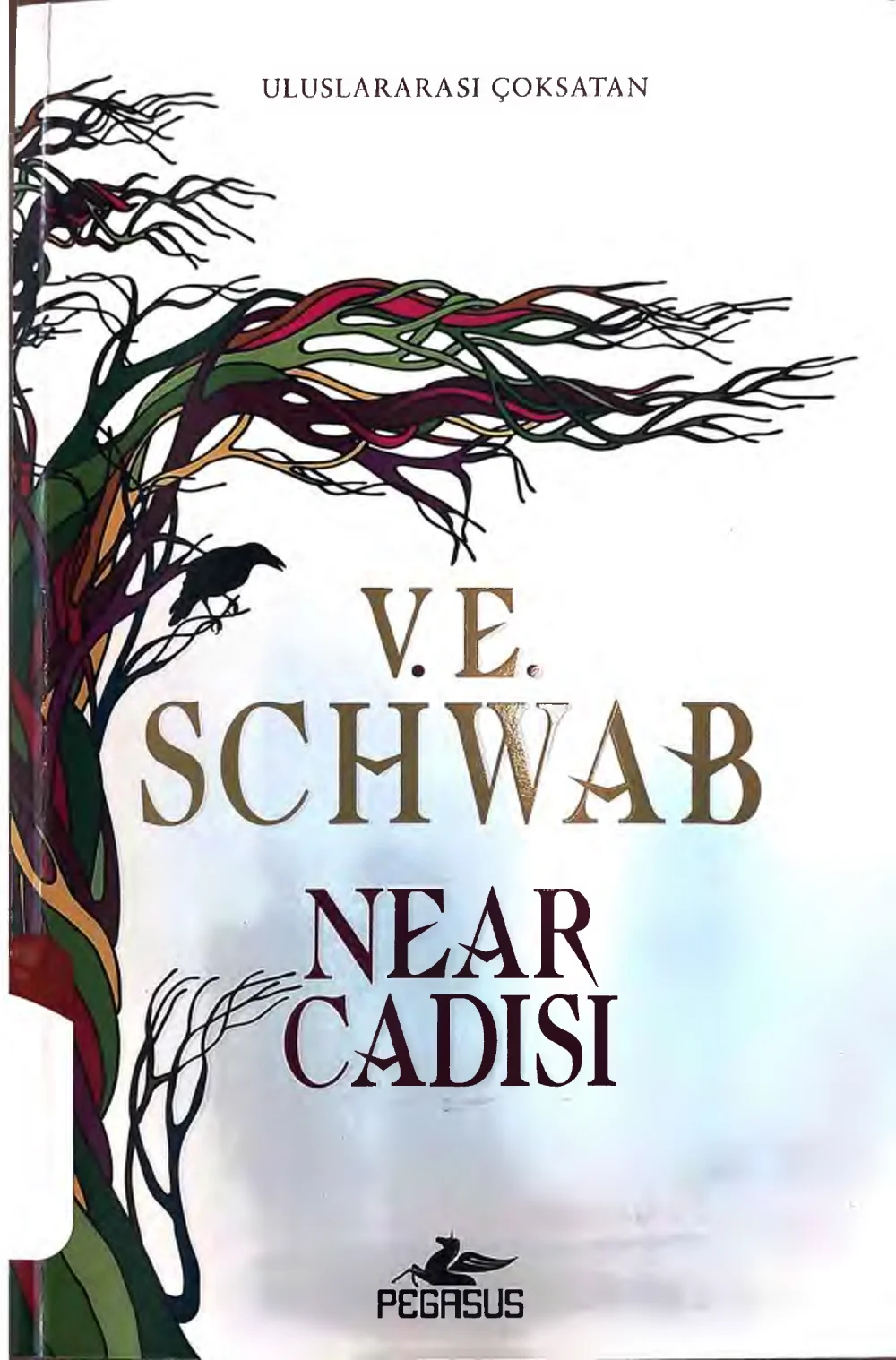 Near Cadısı — V.E. Schwab