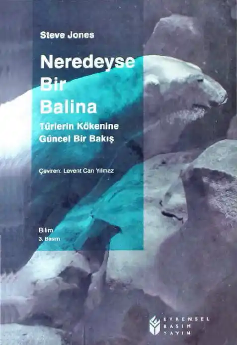 Neredeyse Bir Balina — Steve Jones