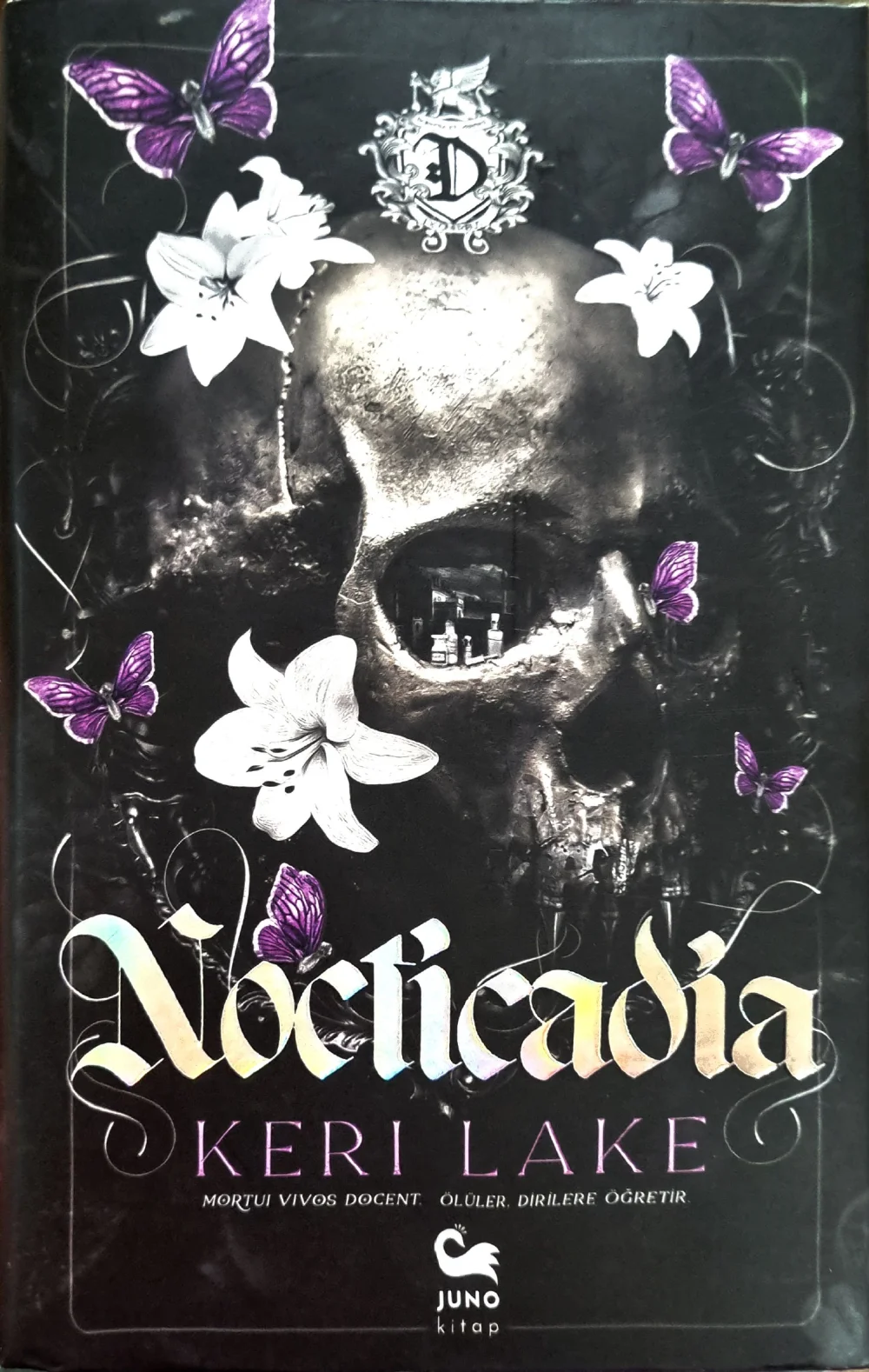 Nocticadia — Keri Lake