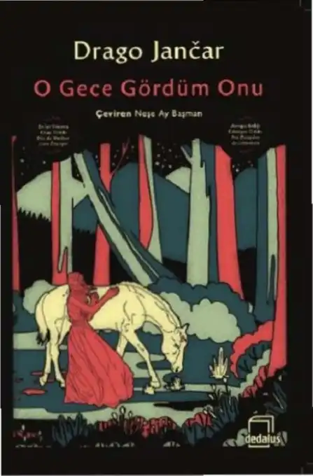 O Gece Gördüm Onu — Drago Jancar