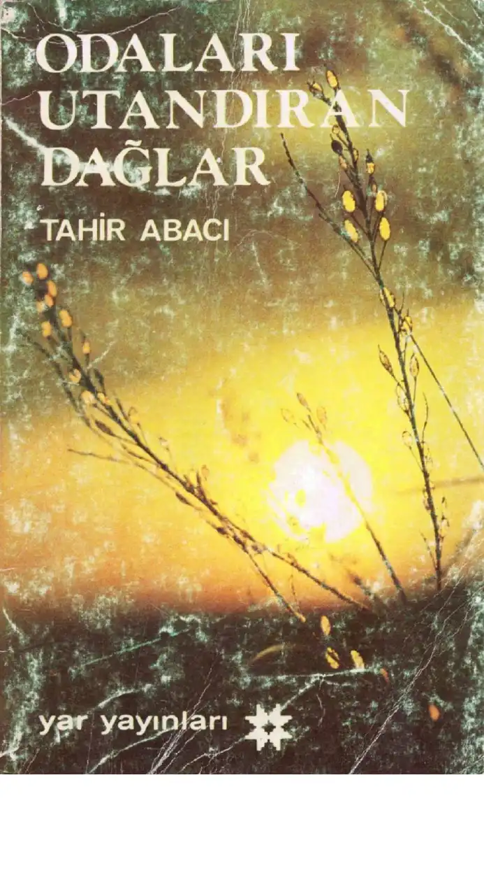 Odaları Utandıran Dağlar — Tahir Abacı