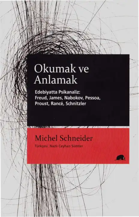 Okumak Ve Anlamak — Michel Schneider