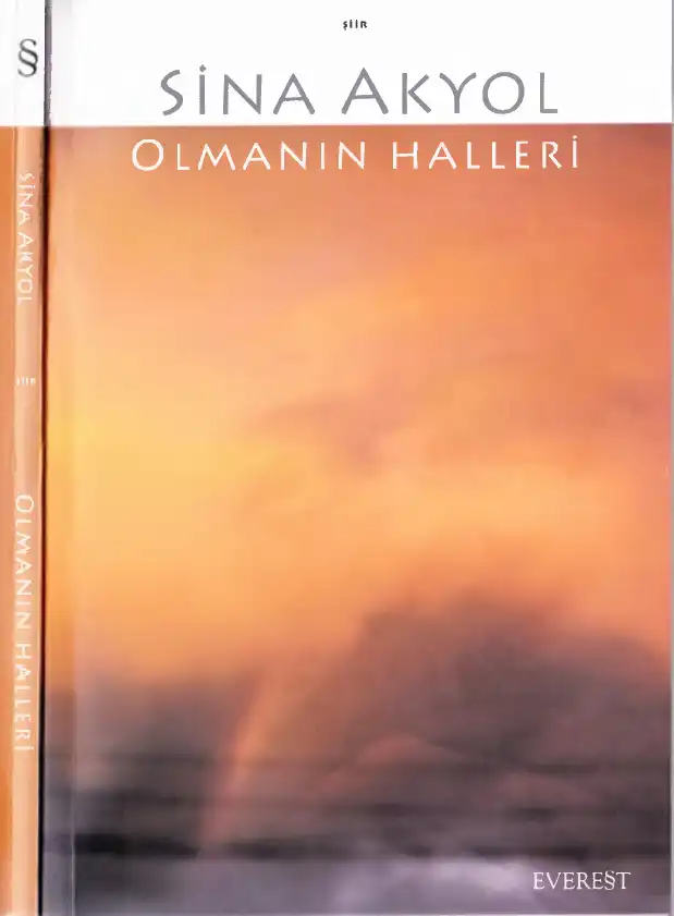 Olmanın Halleri — Sina Akyol