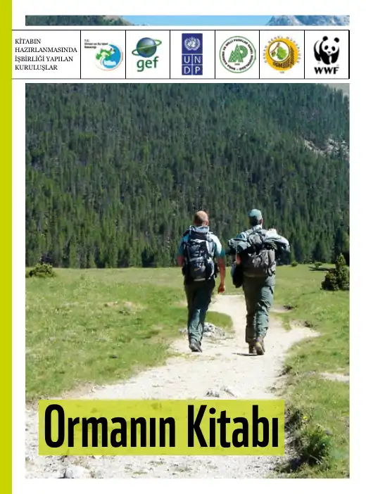 Ormanın Kitabı — Bilinmiyor