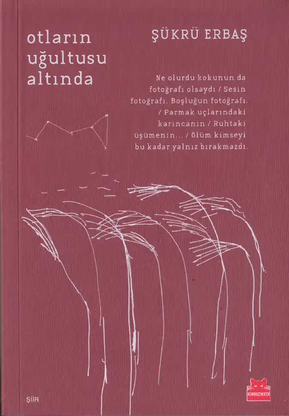 Otların Uğultusu Altında — Şükrü Erbaş