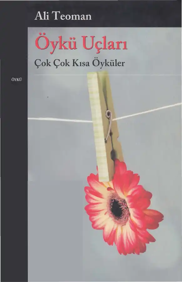 Öykü Uçları — Ali Teoman