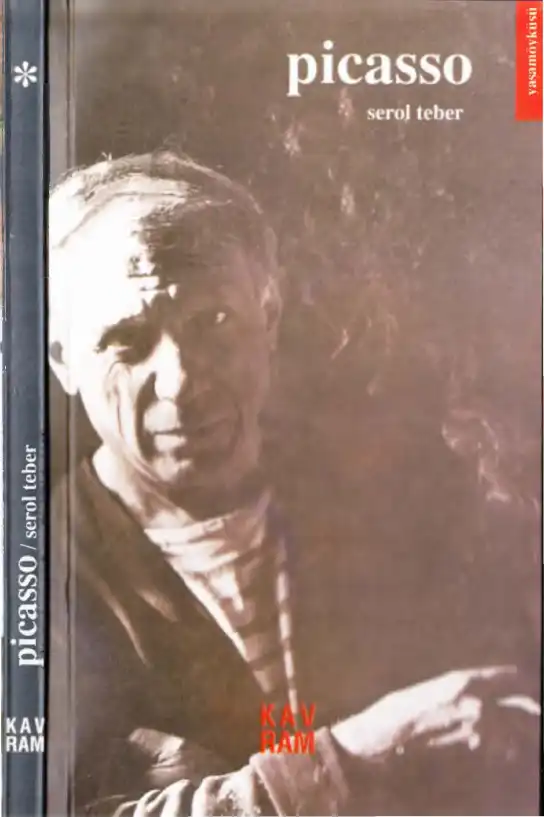 Picasso — Serol Teber