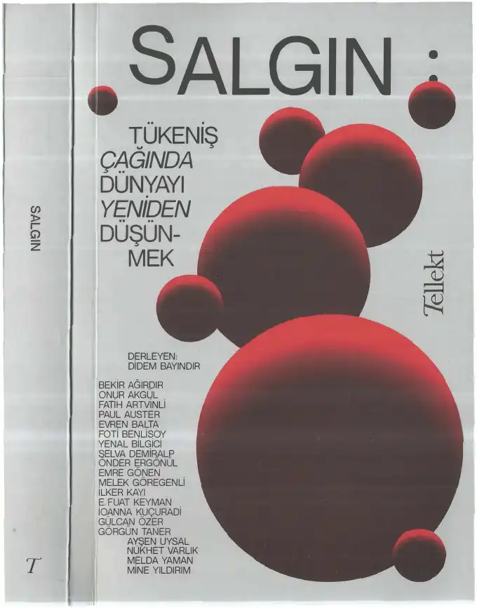 Salgın: Tükeniş Çağında Dünyayı Yeniden Düşünmek — Didem Bayındır