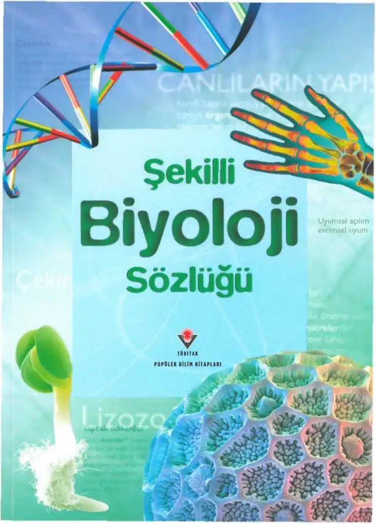 Şekilli Biyoloji Sözlüğü — Chris Oxlade, Corinne Stockley