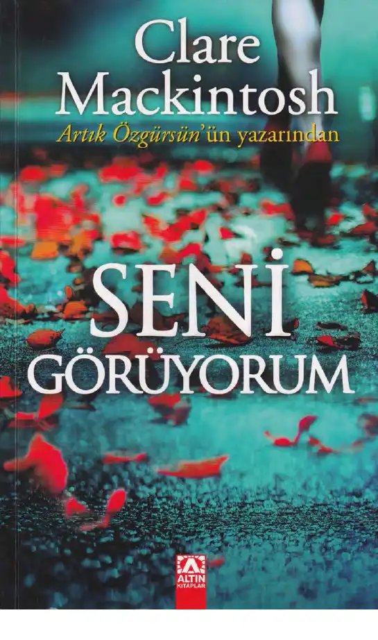 Seni Görüyorum — Clare Mackintosh