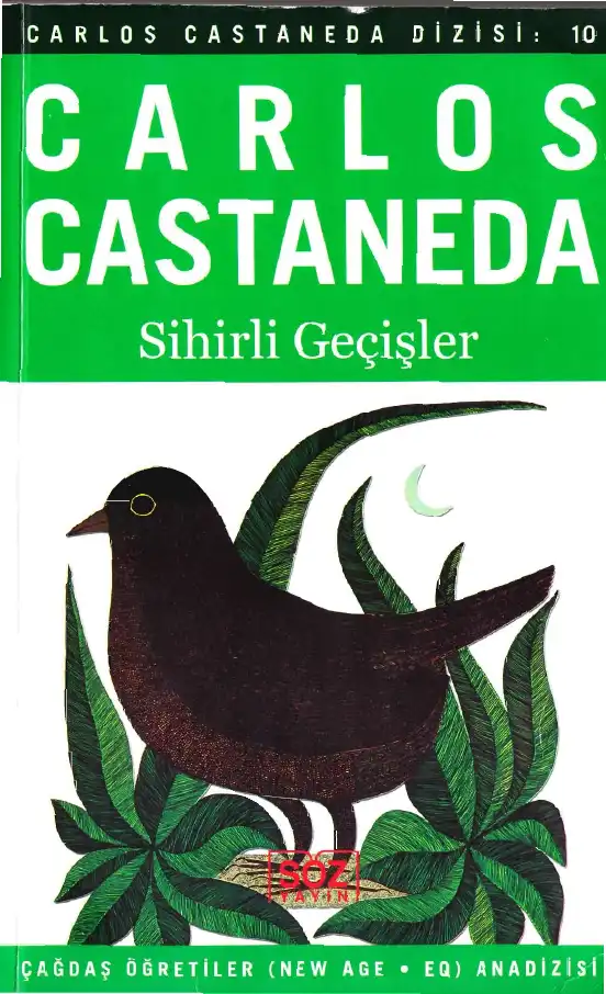 Sihirli Geçişler — Carlos Castaneda