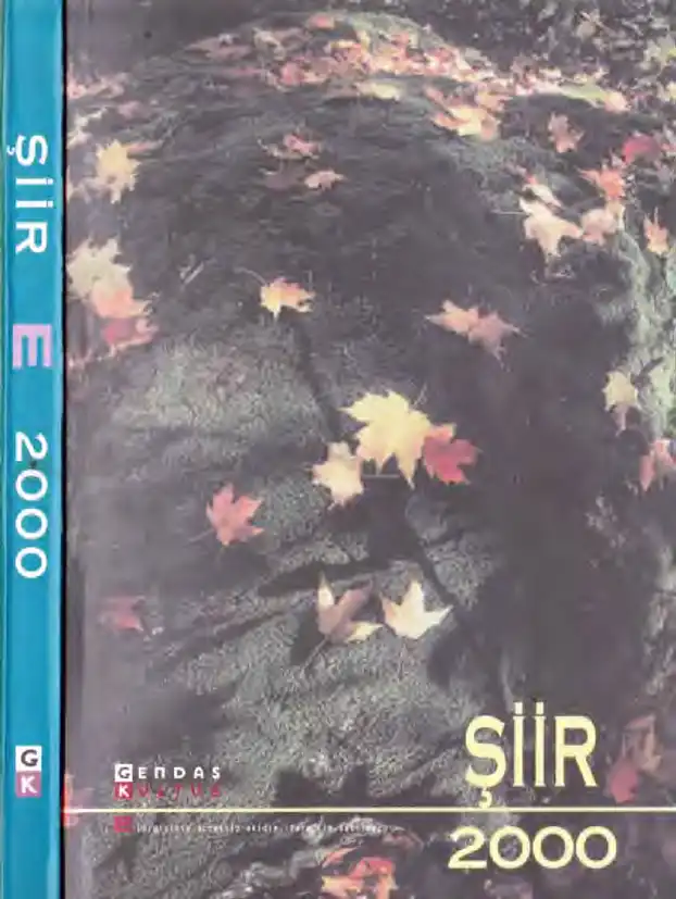 Şiir 2000 — Hasan Öztoprak, Halil Gökhan