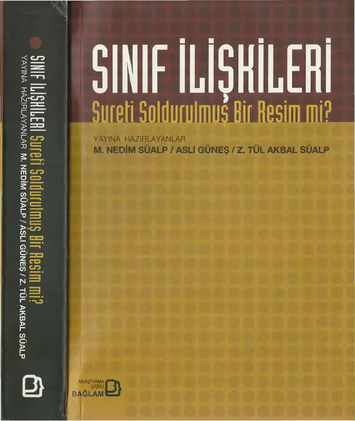Sınıf İlişkileri Bağlam: Sureti Soldurulmuş Bir Resim mi? — M. Nedim Süalp, Aslı Güneş, Z. Tül Akbal Süalp