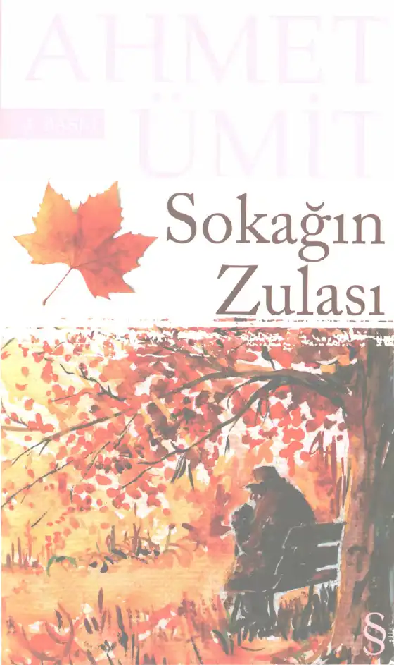 Sokağın Zulası — Ahmet Ümit