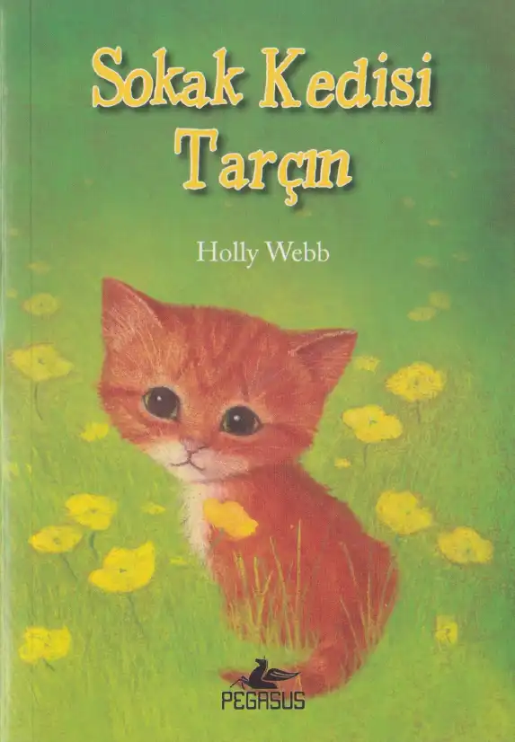 Sokak Kedisi Tarçın — Holly Webb