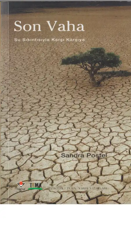 Son Vaha — Sandra Postel, Michelle Allsopp