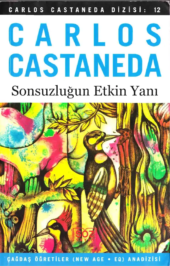 Sonsuzluğun Etkin Yanı — Carlos Castaneda