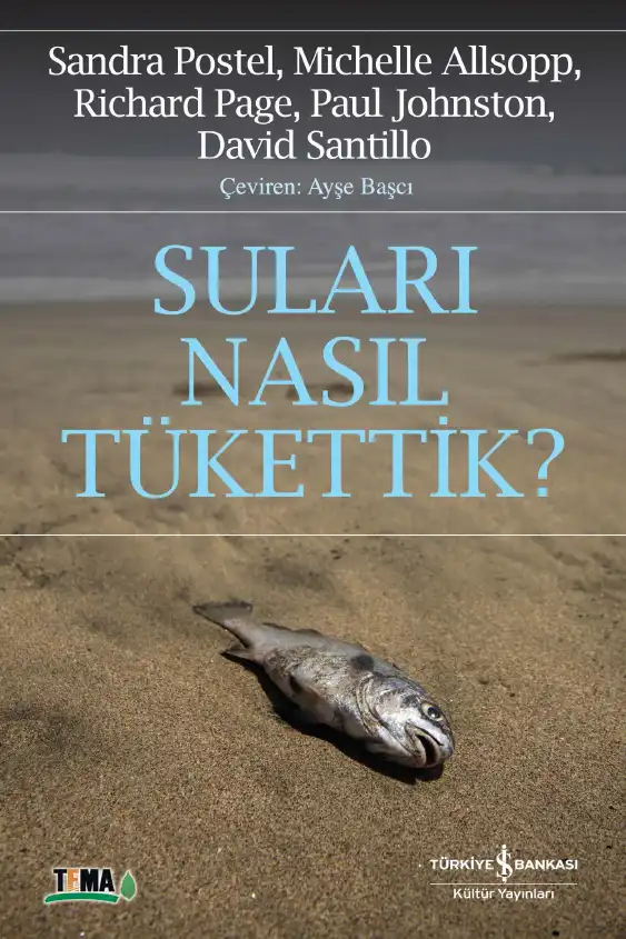 Suları Nasıl Tükettik — Sandra Postel, Michelle Allsopp