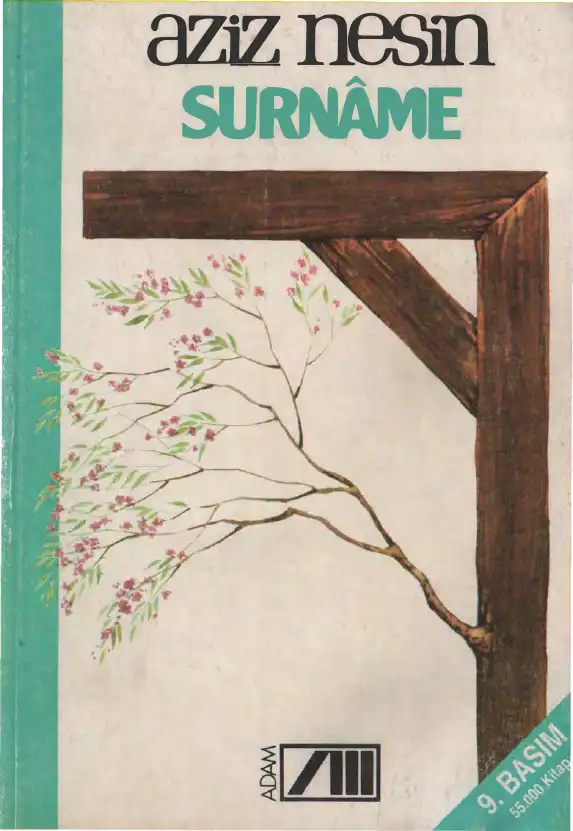 Surname — Aziz Nesin