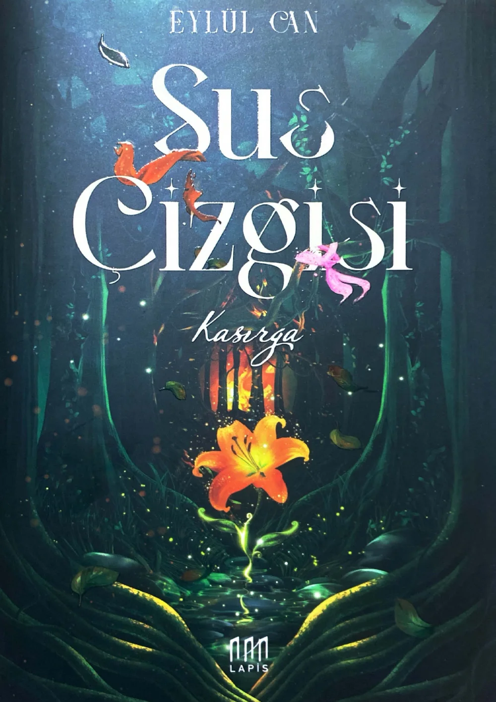 Sus Çizgisi — Bilinmiyor