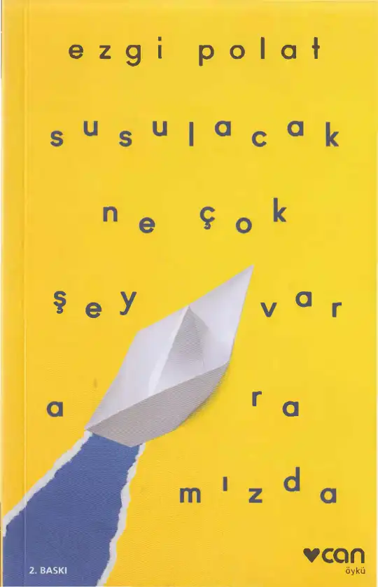 Susulacak Ne Çok Şey Var Aramızda — Ezgi Polat