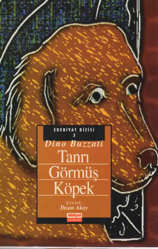 Tanrı Görmüş Köpek — Dino Buzzati