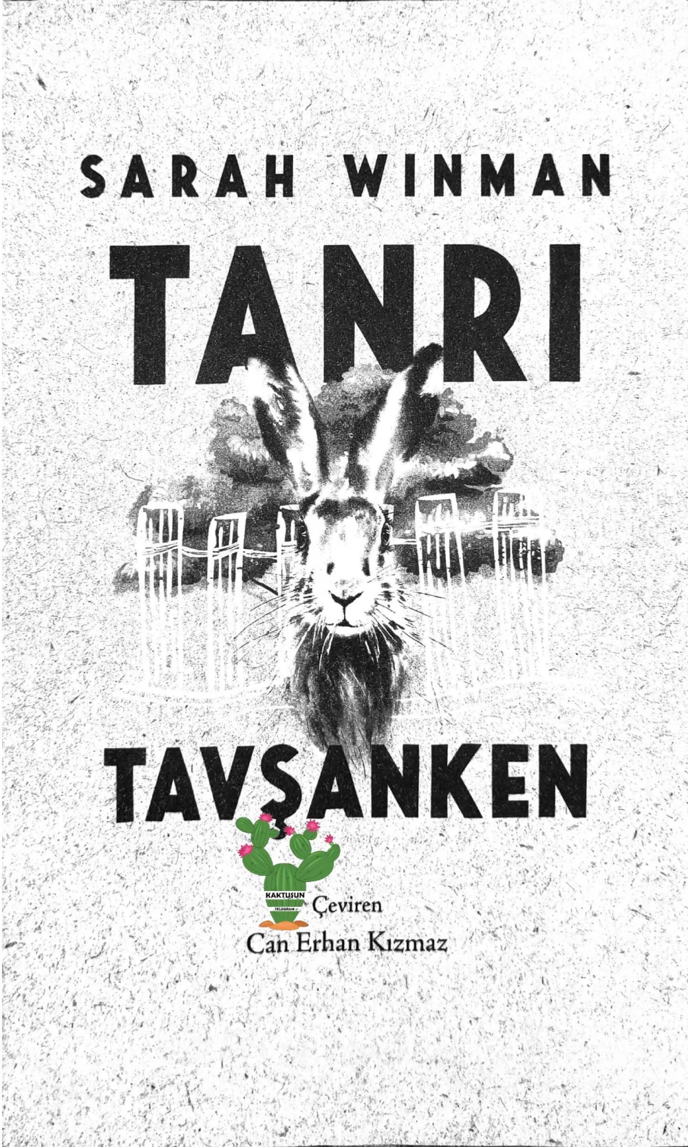 Tanrı Tavşanken — Sarah Winman
