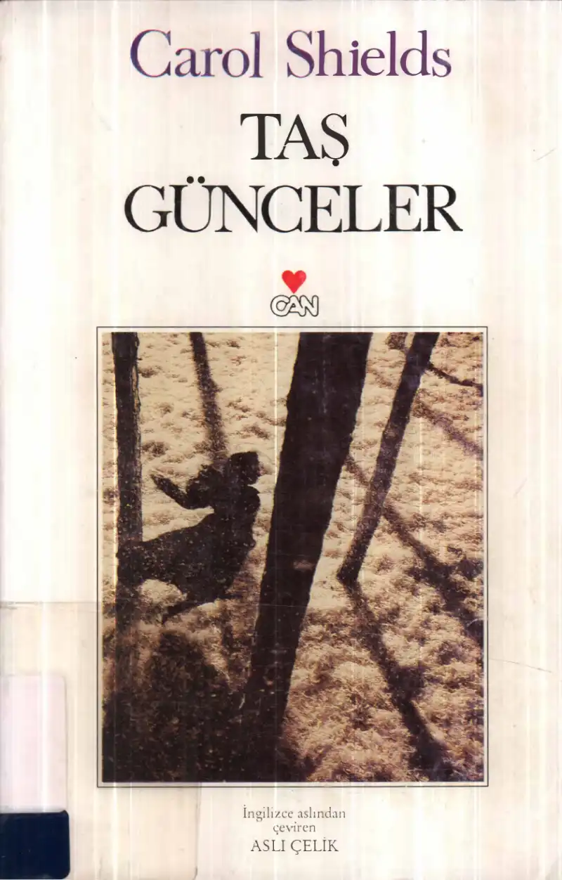 Taş Günceler — Carol Shields