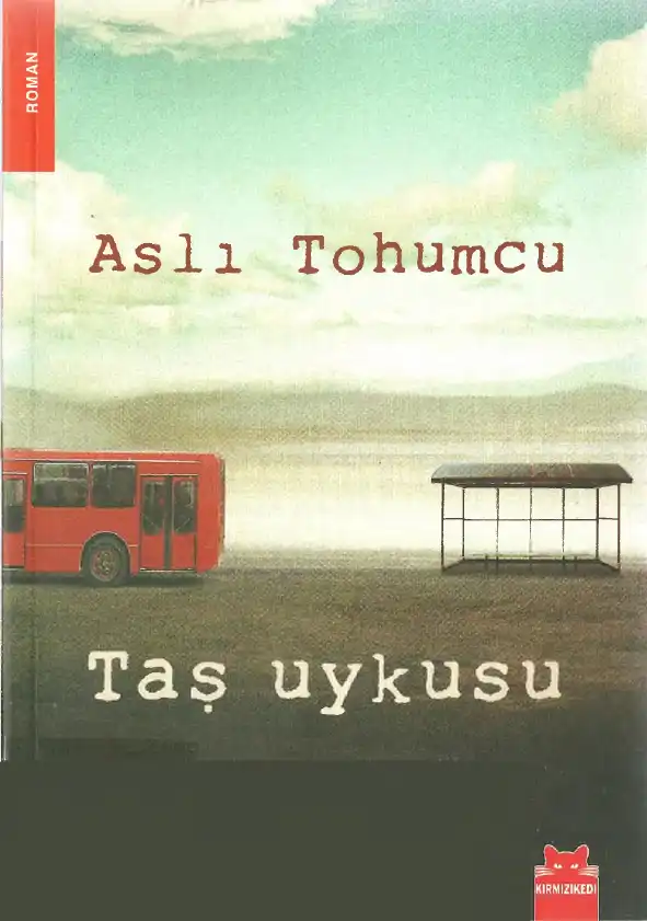 Taş Uykusu — Aslı Tohumcu