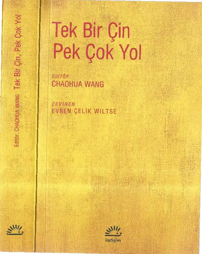 Tek Bir Çin Pek Çok Yol — Chaohua Wang