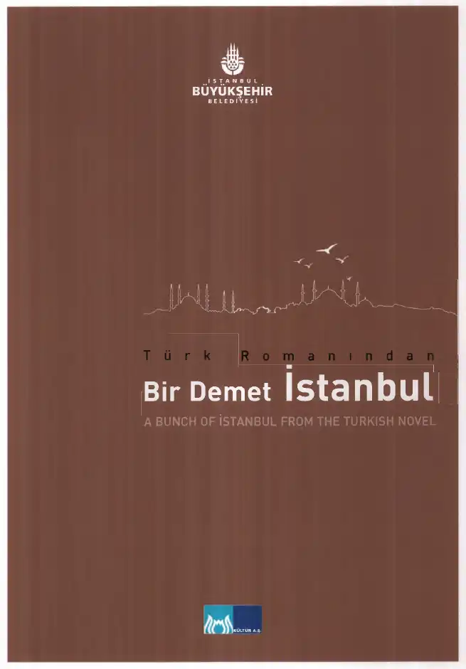 Türk Romanından Bir Demet İstanbul — Ekrem Kaftan