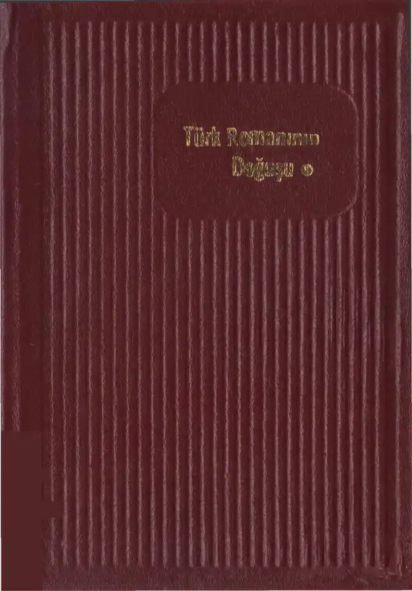 Türk Romanının Doğuşu — Güzin Dino, Abidin Dino