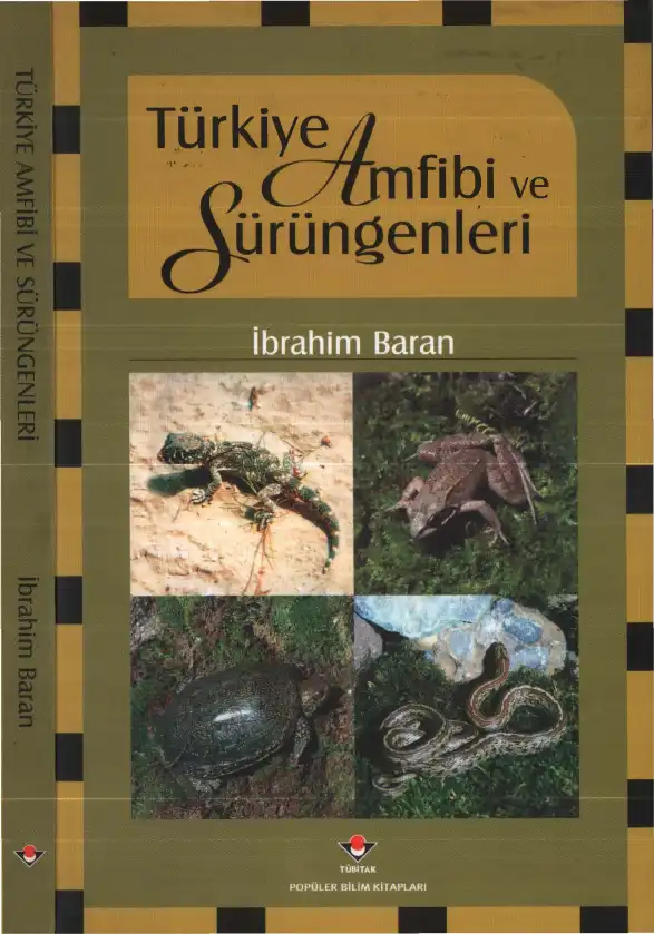Türkiye Amfibi ve Sürüngenleri — İbrahim Baran