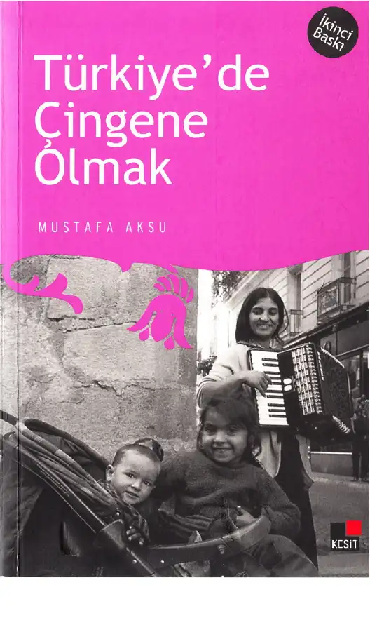 Türkiye'de Çingene Olmak — Mustafa Aksu