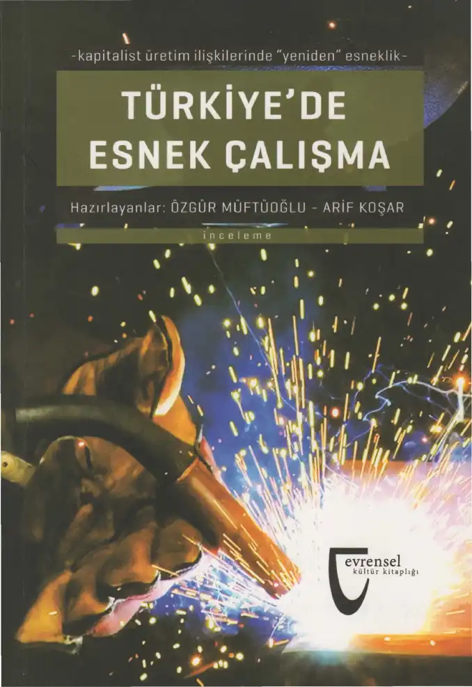 Türkiye'de Esnek Çalışma Kültür — Özgür Müftüoğlu, Arif Koşar