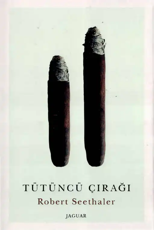 Tütüncü Çırağı — Robert Seethaler