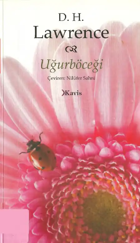 Uğurböceği — D. H. Lawrence