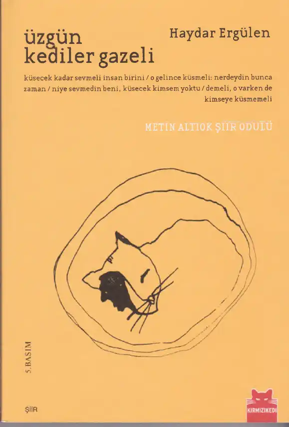 Üzgün Kediler Gazeli — Haydar Ergülen