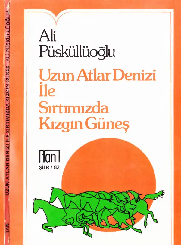 Uzun Atlar Denizi İle Sırtımızda Kızgın Güneş — Ali Püsküllüoğlu