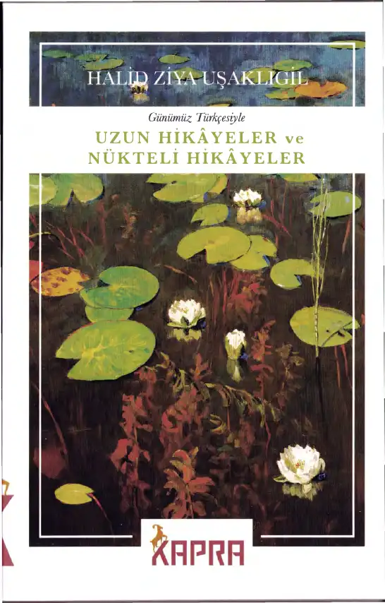 Uzun Hikayeler ve Nükteli Hikayeler — Halid Ziya Uşaklıgil