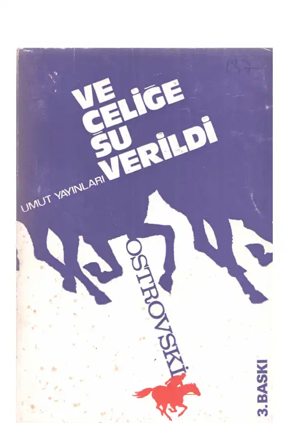 Ve Çeliğe Su Verildi — Nikola Ostrovski