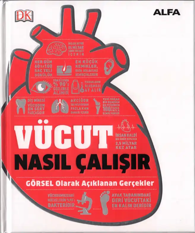 Vücut Nasıl Çalışır? — Bilinmiyor