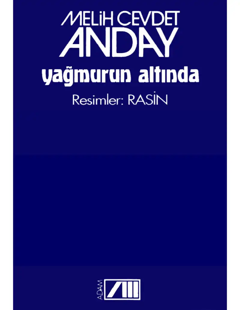Yağmurun Altında Adam — Melih Cevdet Anday