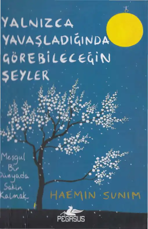 Yalnızca Yavaşladığında Görebileceğin Şeyler — Haemin Sunim