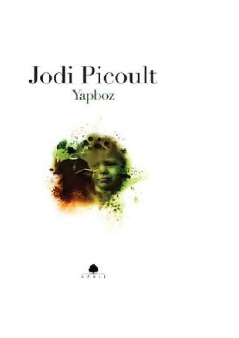 Yapboz — Jodi Picoult